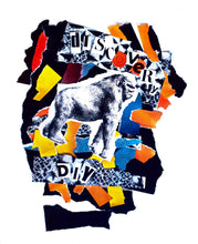 Load image into Gallery viewer, Discovery D.I.Y Gorilla